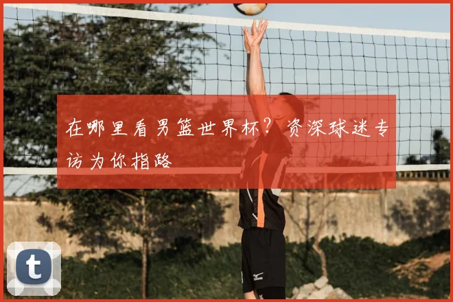 在哪里看男篮世界杯？资深球迷专访为你指路