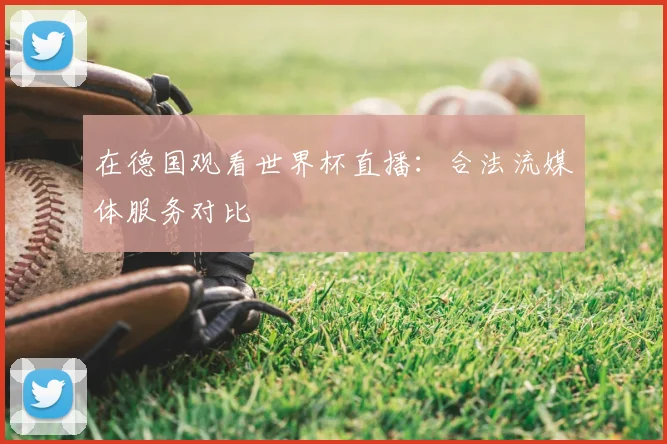 在德国观看世界杯直播：合法流媒体服务对比