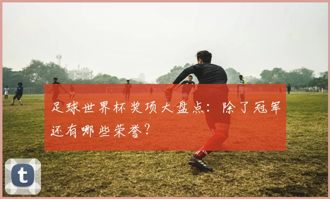 足球世界杯奖项大盘点：除了冠军还有哪些荣誉？