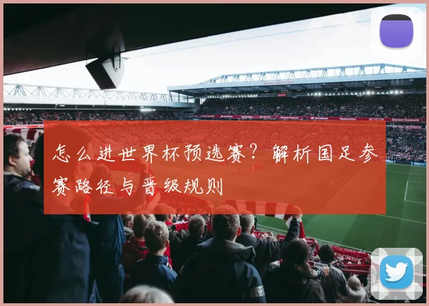 怎么进世界杯预选赛？解析国足参赛路径与晋级规则