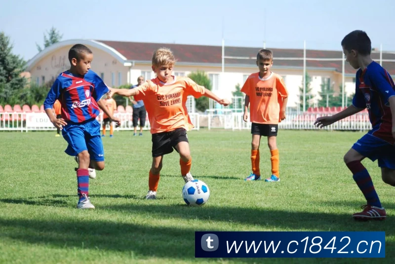 星空体育体育官方网站品牌故事